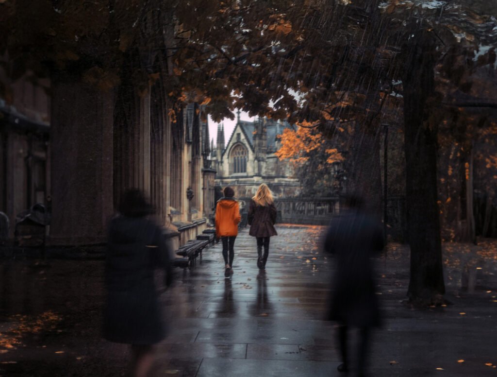 2. When Ali Met Kelly